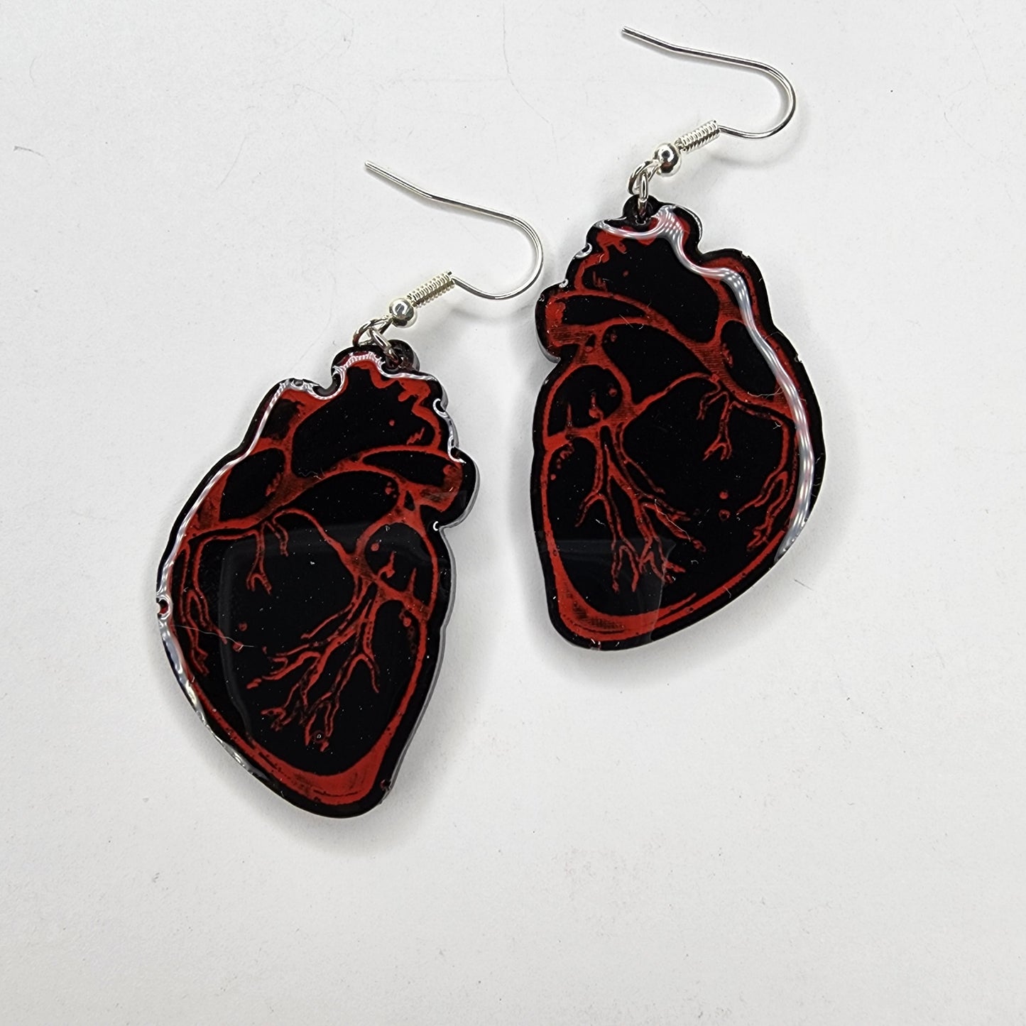 Anatomical Heart