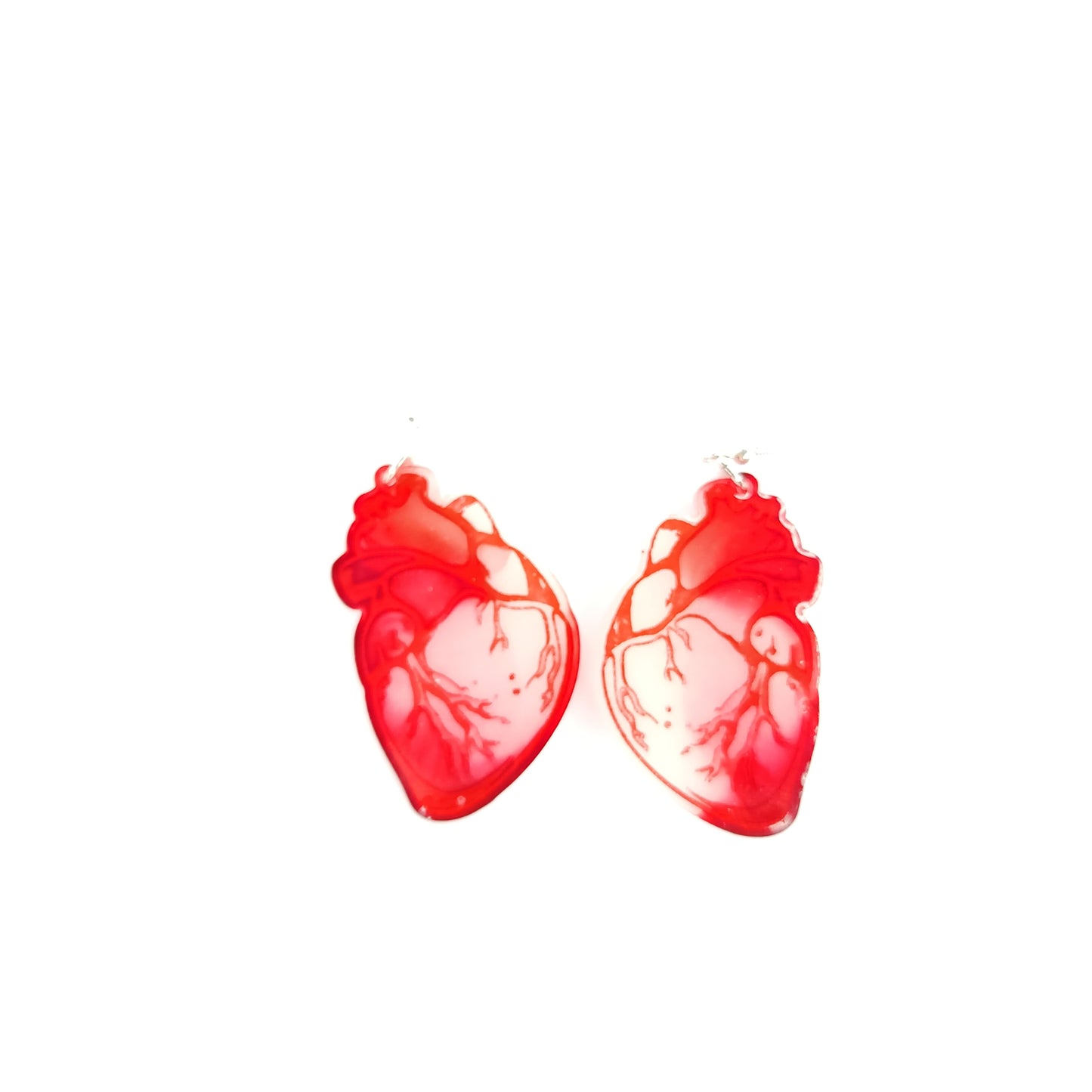 Anatomical Heart