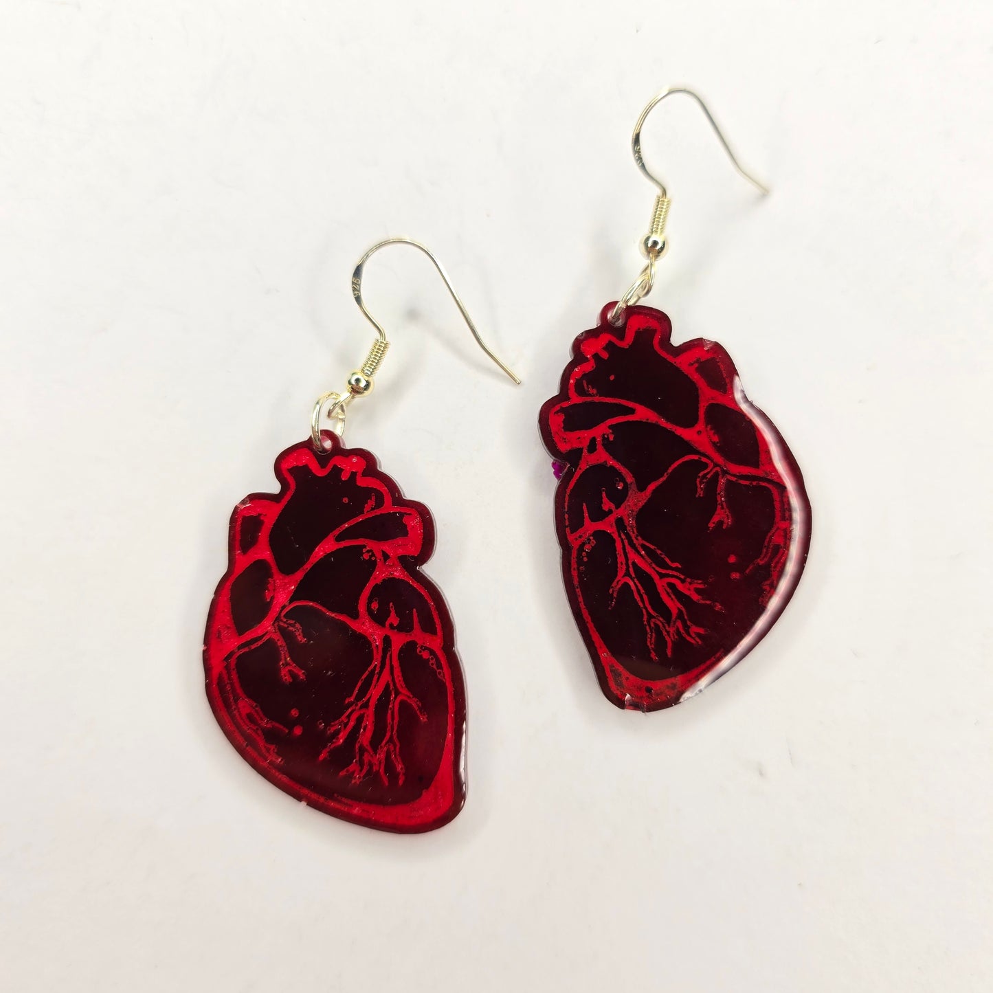 Anatomical Heart