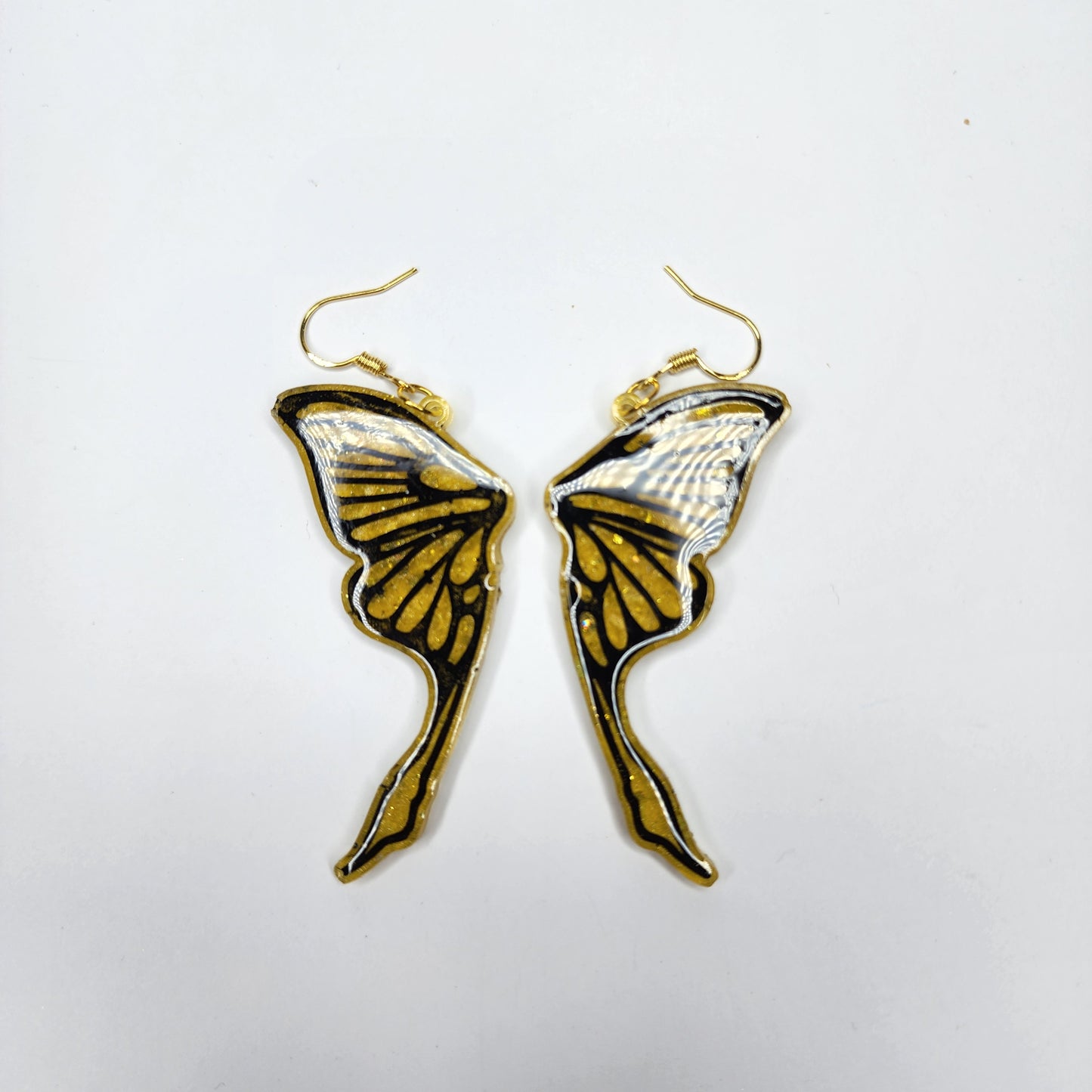 Butterfly / Moth Wings