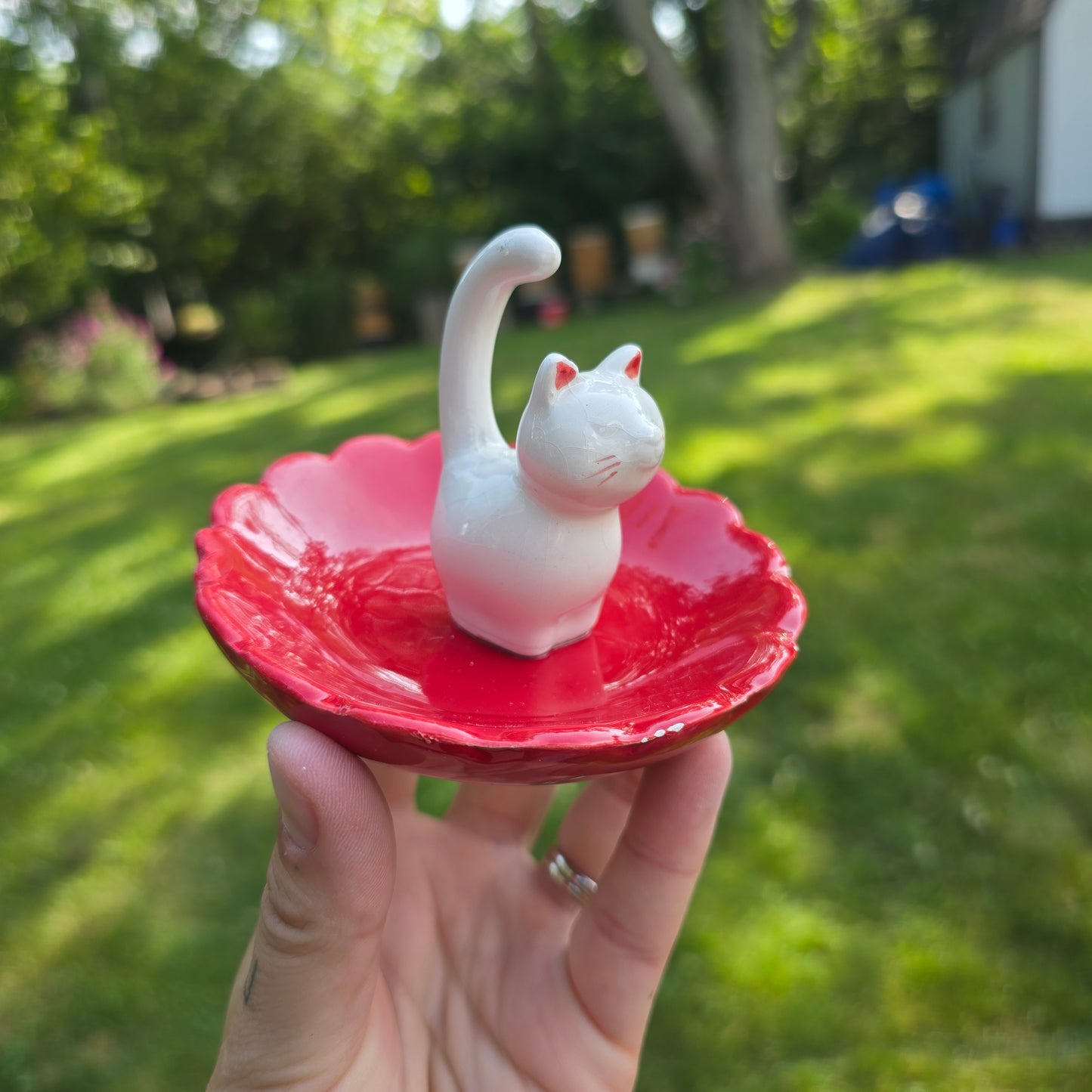 Cat ring dish