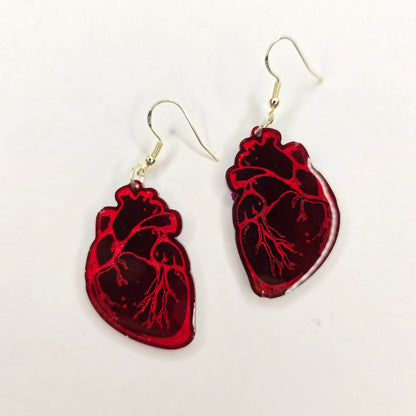 Anatomical Heart